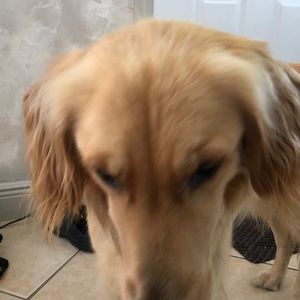 Meet your Posher, Jacob